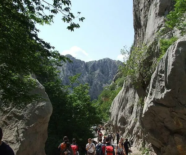 Zerava Nin Vikendica *